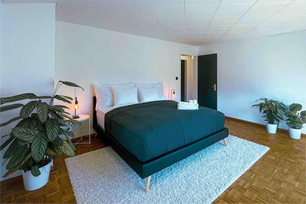 Villa -The Urbanist- Mountainview Parking Garden 3Bd Unterseen Exterior foto